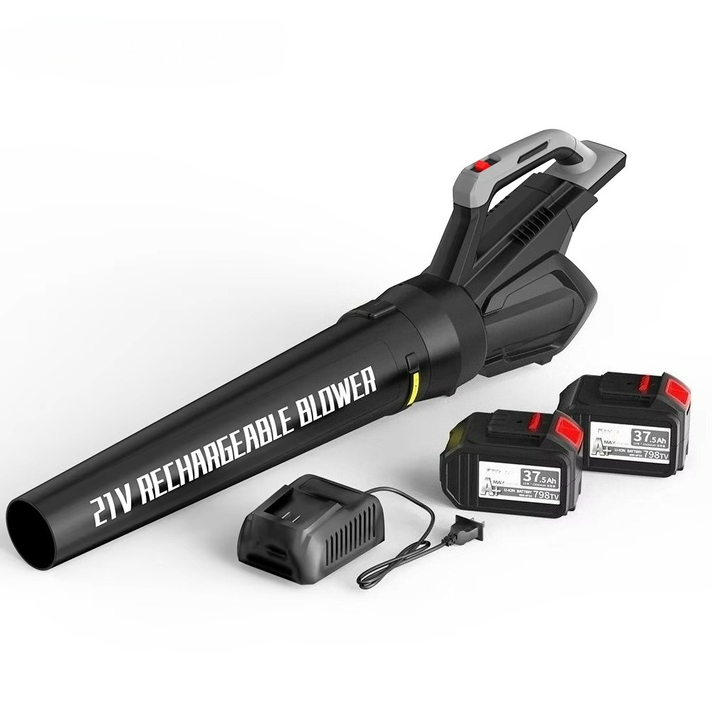 Cordless Leaf Blower with Batt - Car Vacuum review and price